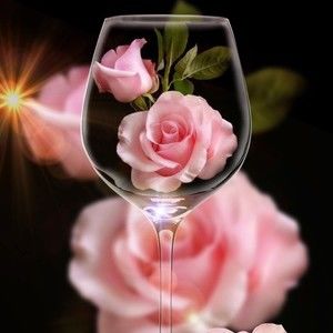 Meet your Posher, Nora